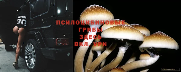 прущие крисы Алексеевка