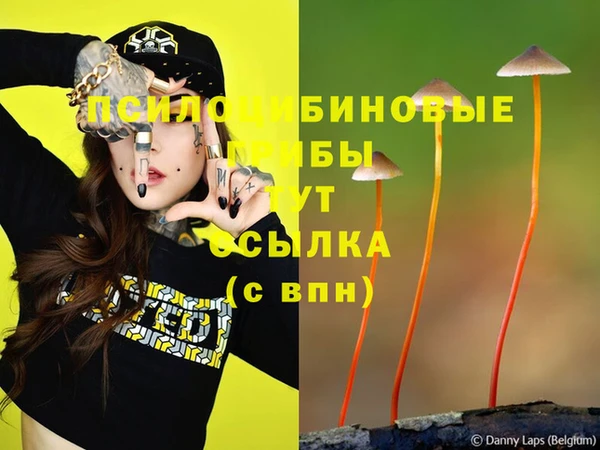 прущие крисы Алексеевка