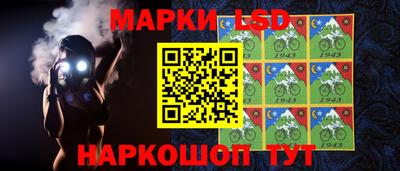 тгк Новодвинск