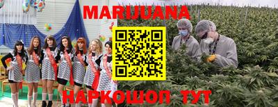 тгк Новодвинск