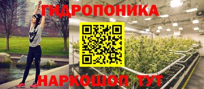 тгк Новодвинск