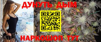 сатива Новокубанск