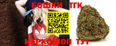 тгк Новодвинск