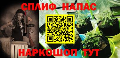 тгк Новодвинск