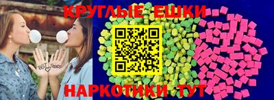 тгк Новодвинск