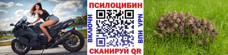 Галлюциногенные грибы мухоморы Петрозаводск