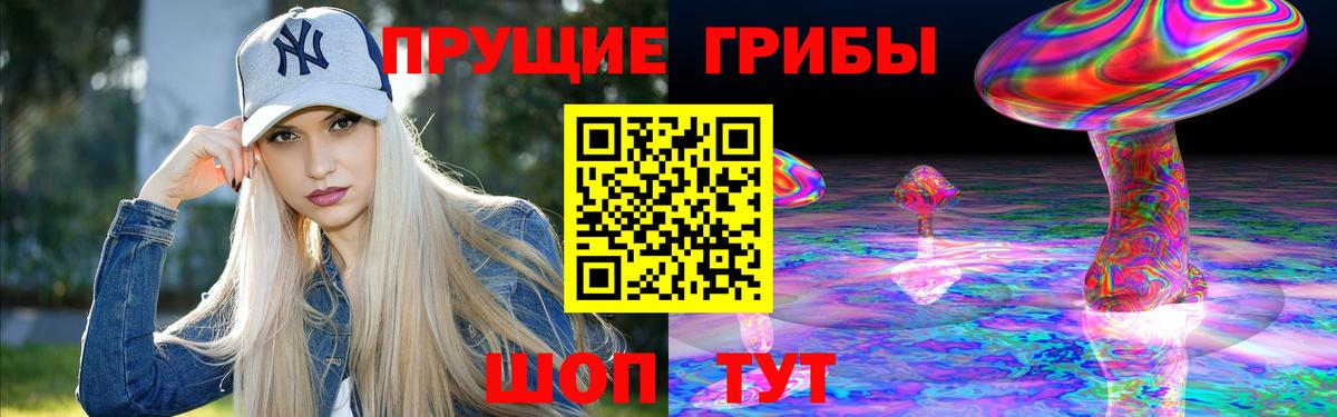 Петрозаводск  Псилоцибиновые грибы мицелий  Галлюциногенные грибы GOLDEN TEACHER  Вход с VPN 