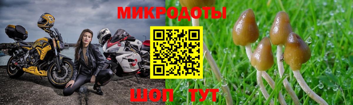 Псилоцибиновые грибы ЛСД Петрозаводск